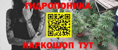 экстази Обь