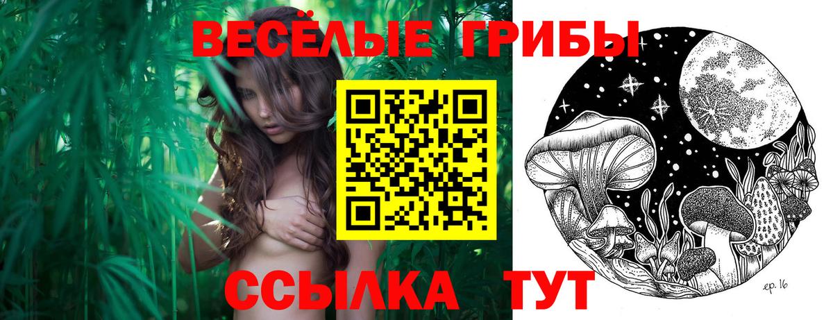 Рославль  Галлюциногенные грибы ЛСД  Псилоцибиновые грибы мицелий  Вход с VPN 